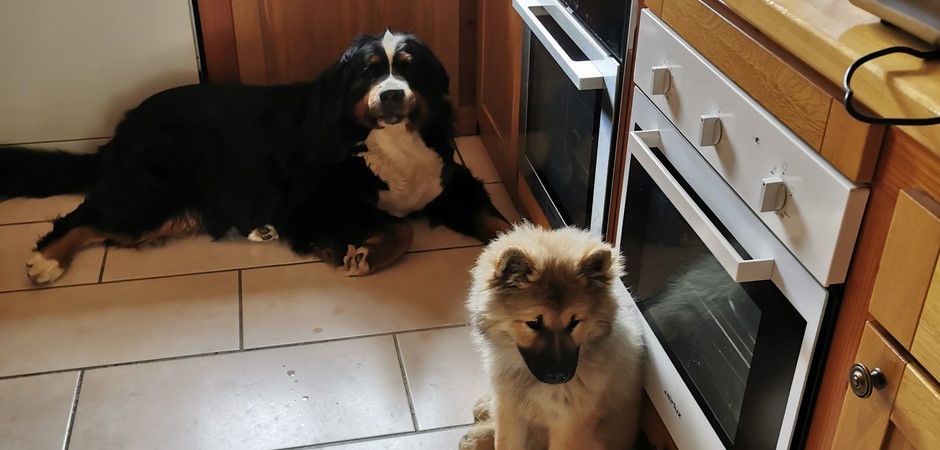 Groupe 28-09-2025 (1).jpg